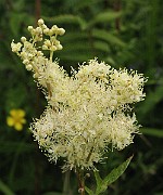 IMG_6319