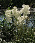 IMG_7962