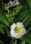 IMG_6879