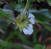 IMG_2607