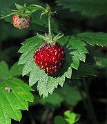 IMG_3298