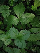 IMG_3301