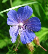 IMG_3291