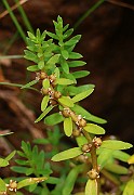IMG_0645