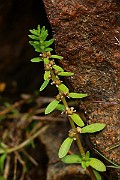IMG_0646
