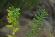 IMG_4704