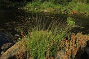 IMG_1291