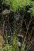 IMG_1297