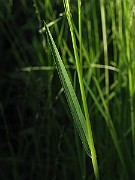 IMG_1541