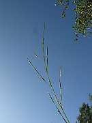 IMG_1542