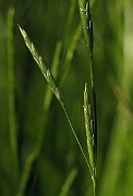 IMG_1544