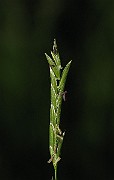 IMG_1546