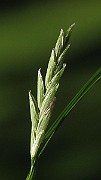 IMG_1593