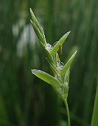 IMG_5129