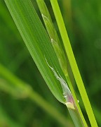 IMG_6414