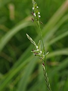 IMG_6416