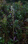 IMG_3857