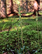 IMG_5874