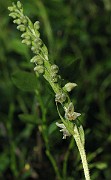 IMG_7820