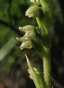 IMG_7822b