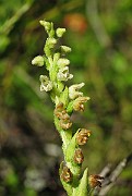 IMG_8099