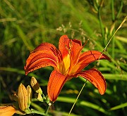 IMG_1655