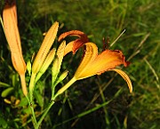 IMG_1656