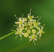 IMG_3786