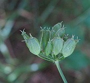 IMG_7871