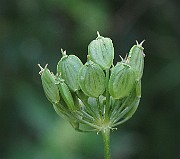 IMG_7875