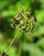IMG_8045