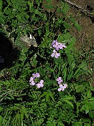 IMG_7560