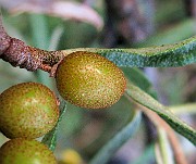 IMG_5792