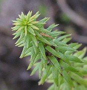 IMG_7288