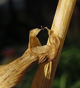 IMG_9112