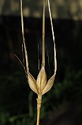 IMG_9116