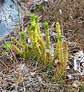 IMG_0079
