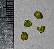 IMG_0136