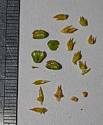 IMG_0137