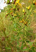 IMG_3688