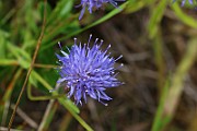 IMG_0234