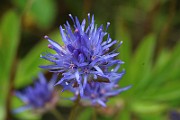 IMG_0235