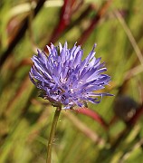 IMG_1204