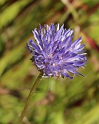 IMG_1206