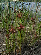 IMG_1940