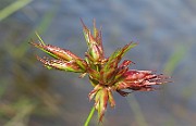 IMG_1942