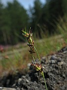 IMG_1945