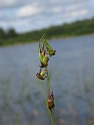 IMG_1946
