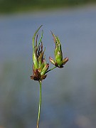 IMG_1949