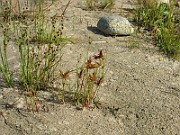 IMG_1999